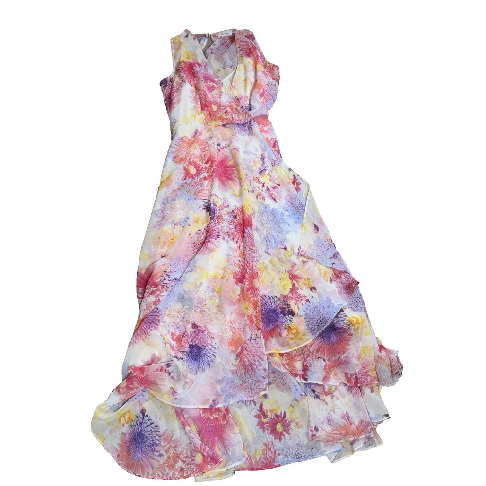 Calvin Klein Floral Sheer Lined Womens 2 Maxi Dress
